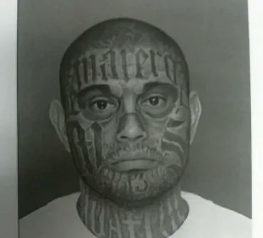 Homeland Security tweet media