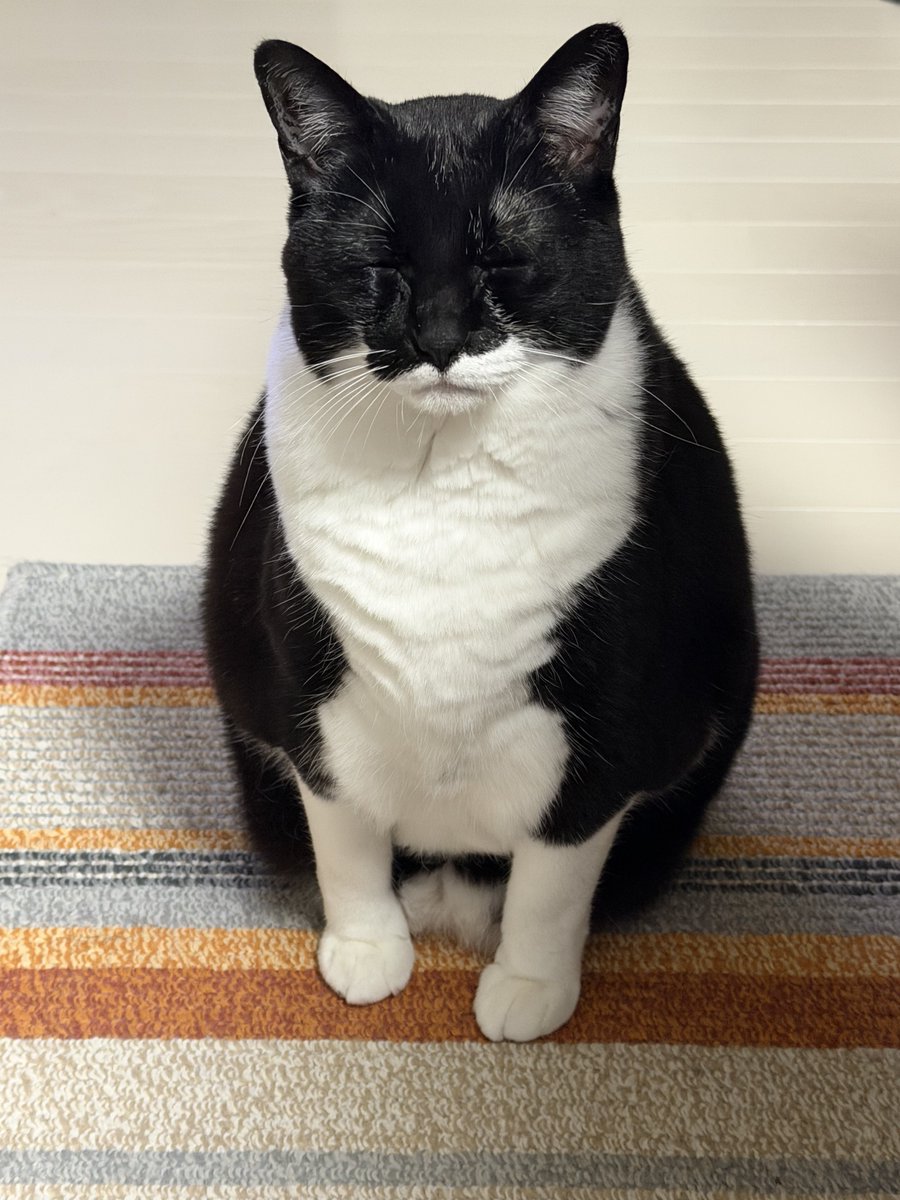 こたくろ兄弟 tweet media