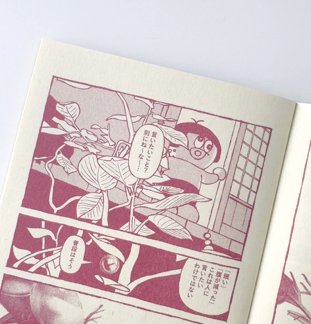 奥田亜紀子 tweet media