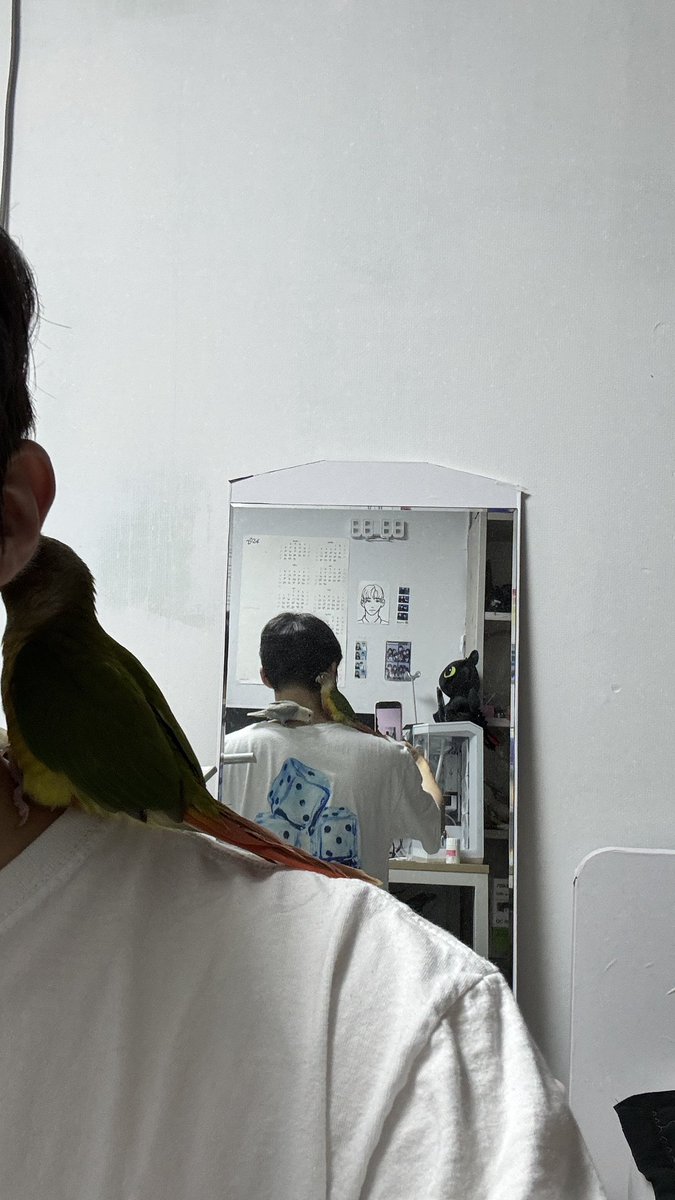 재신 5수코 전독시 팀코 구인중 tweet media