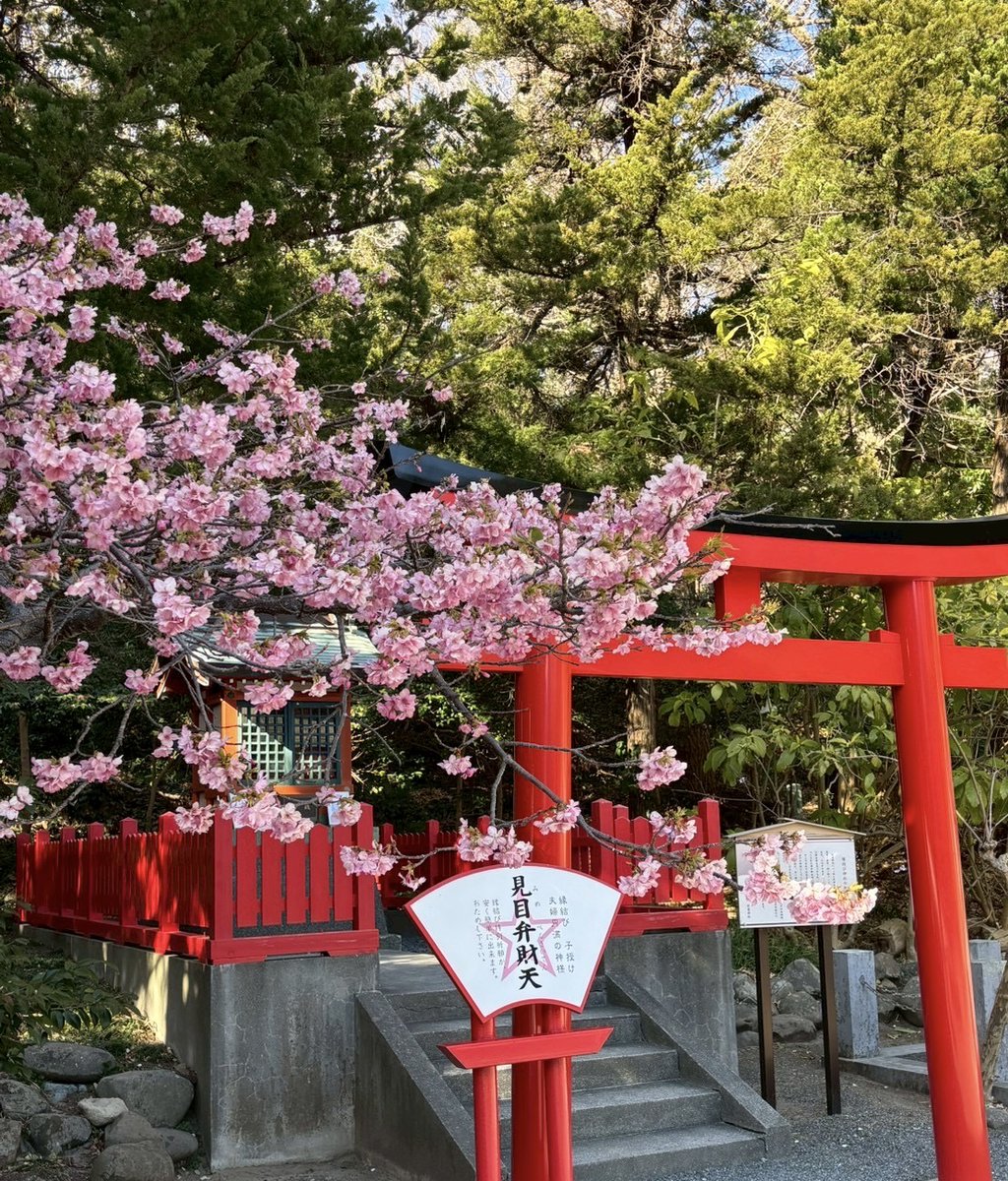 𝗧𝗛𝗘 𝗚𝗨𝗬 𝗣𝗘𝗥𝗥𝗬𝗠𝗔𝗡 𝗦𝗛𝗢𝗪 tweet media