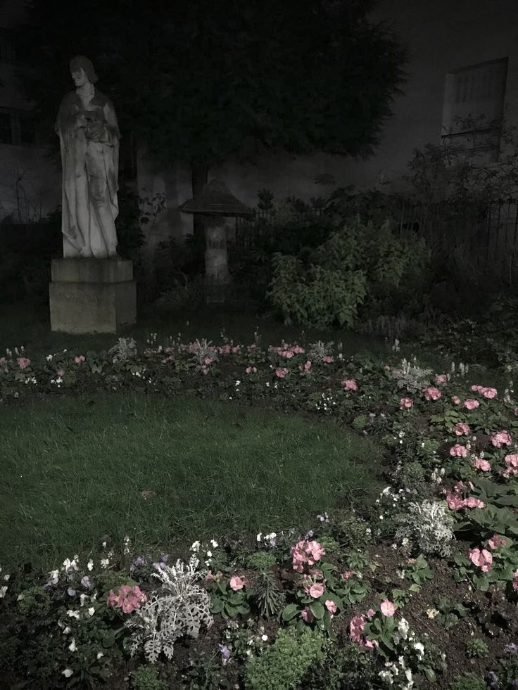 𝕰𝖑𝖊𝖒𝖒𝖎𝖗𝖊 tweet media