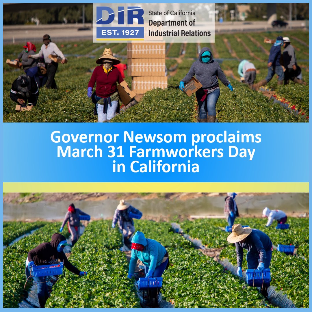 California Department of Industrial Relations tweet media