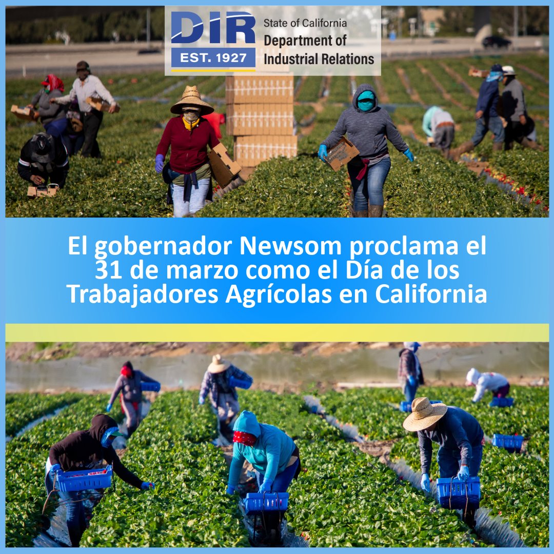 California Department of Industrial Relations tweet media