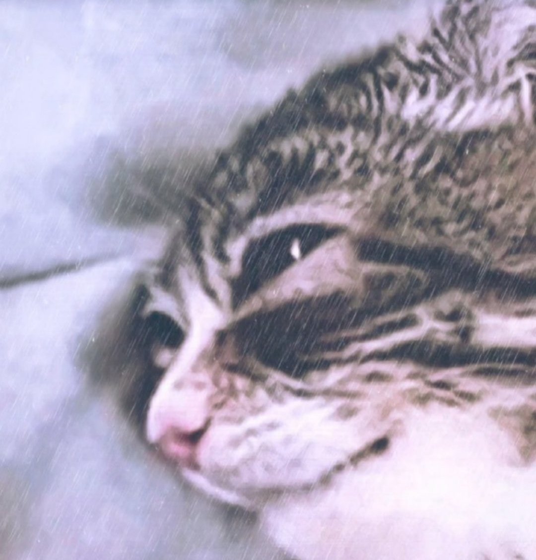 🧡Minako Furiosa🍔🏳️⚧️🧡 tweet media