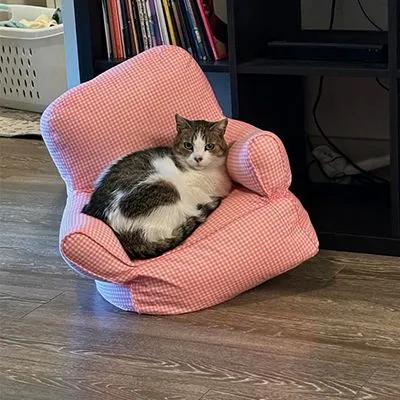 Ana Maria tweet media