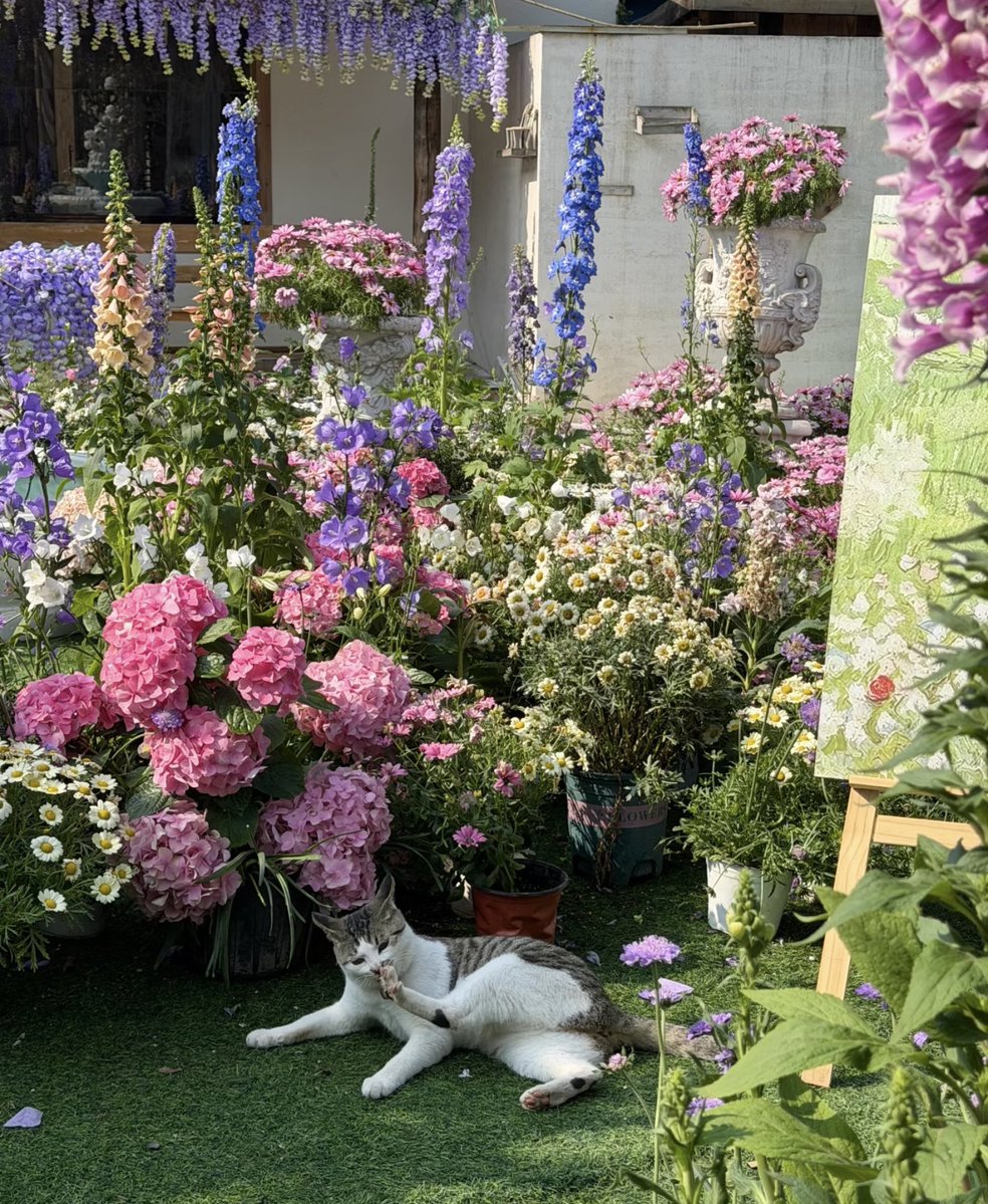 sekar wangi tweet media