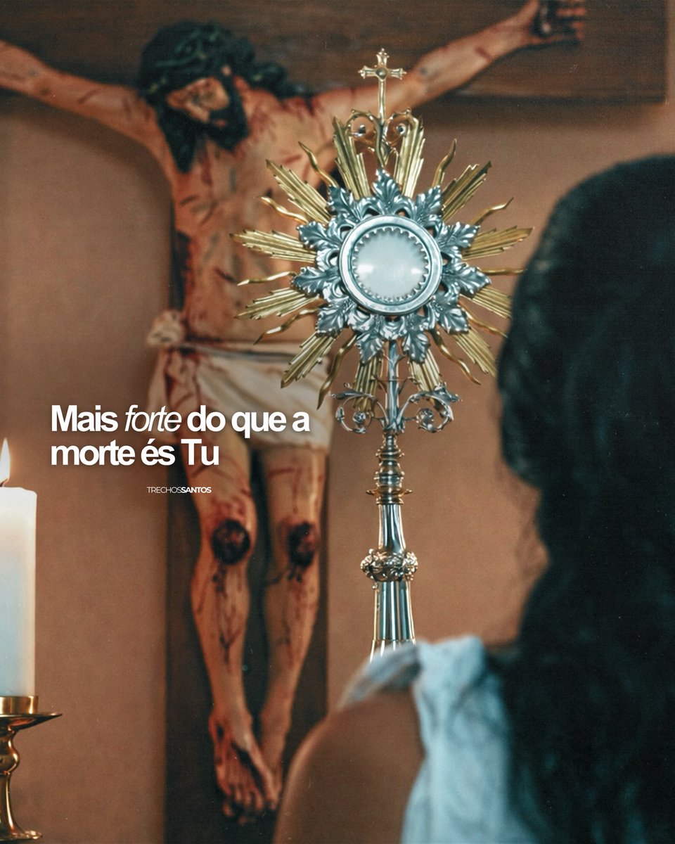 Trechos Santos tweet media