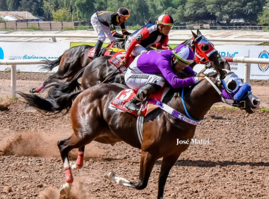 Jack ♦️ 🌳 #002 tweet media