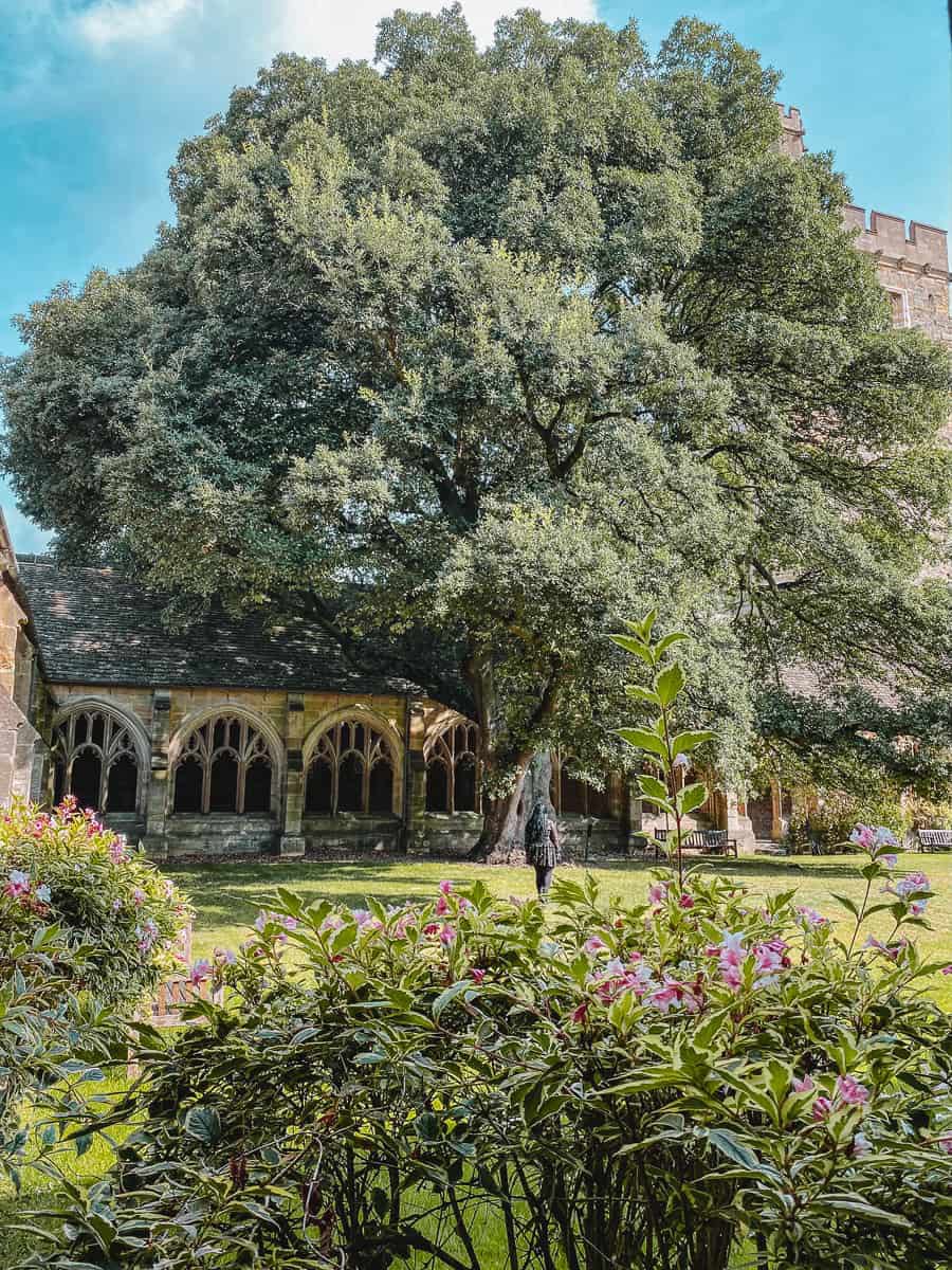 Tanner Cartwright 🇺🇸🇬🇧🇯🇵 tweet media