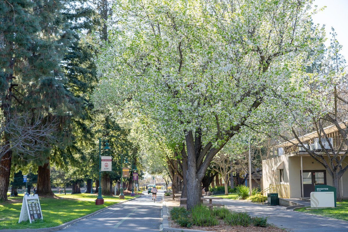 Sacramento State tweet media