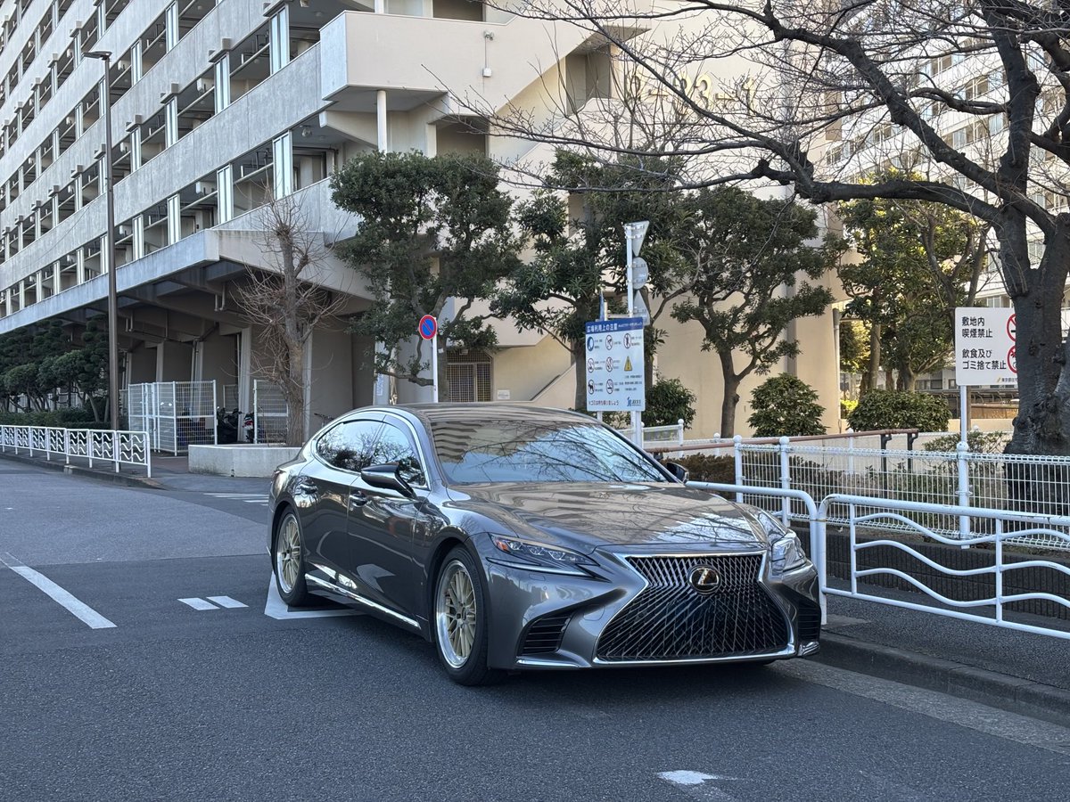 ブイ蜂 tweet media