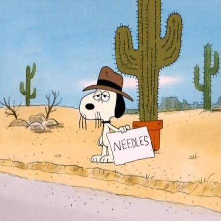 Cowboybaker tweet media