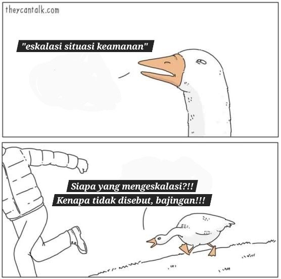 Jaka /jp tweet media