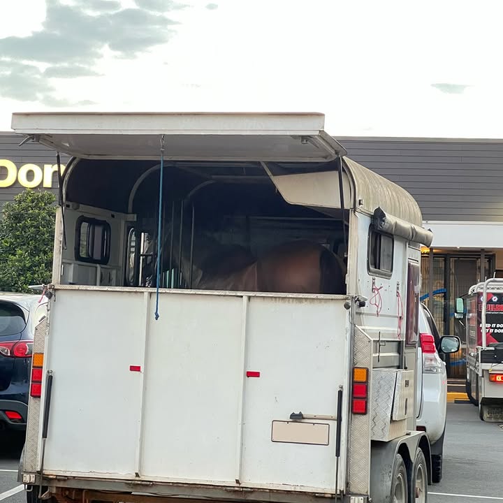 Transport for NSW tweet media