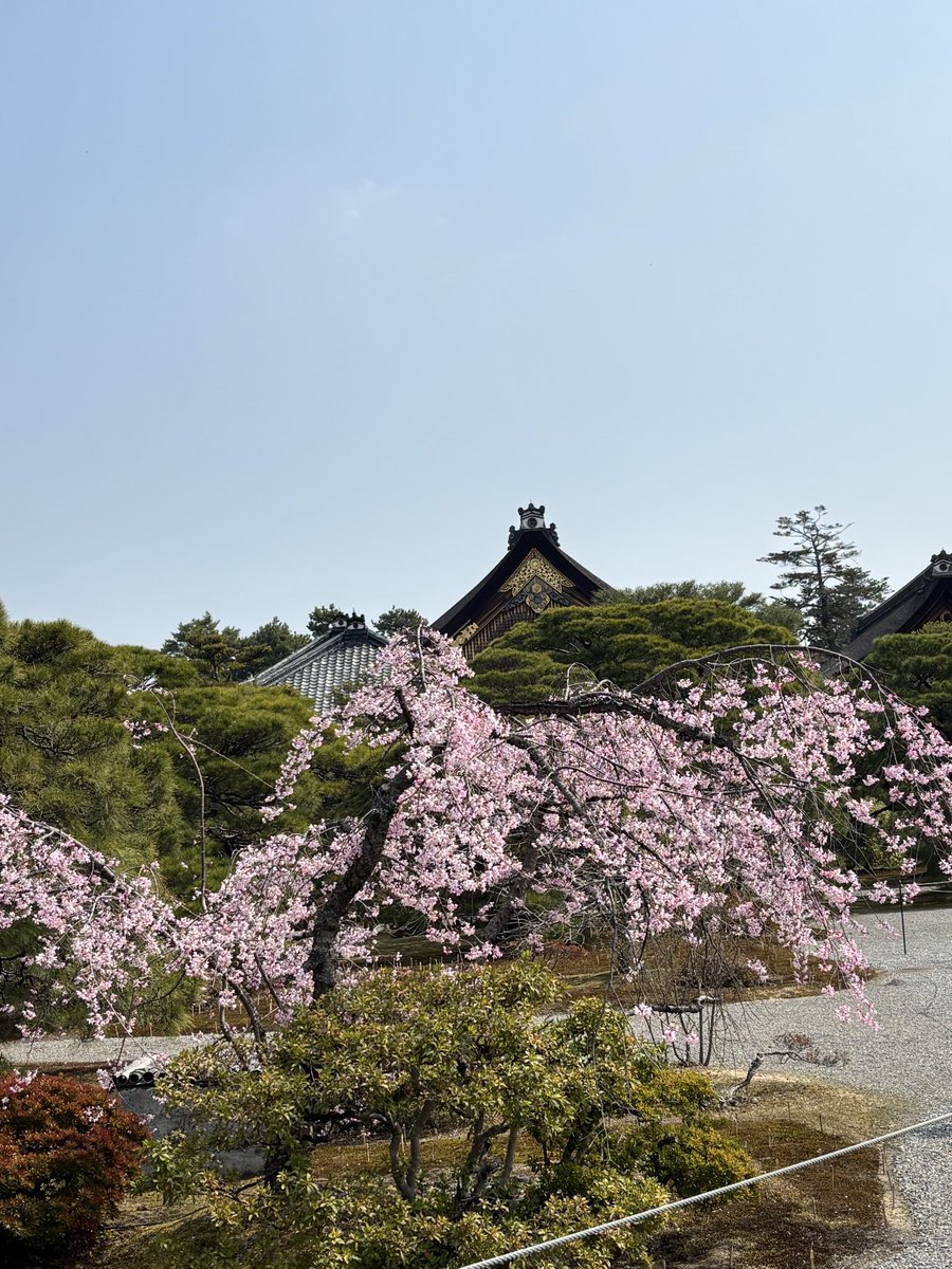 walkride〈とばっち〉 tweet media