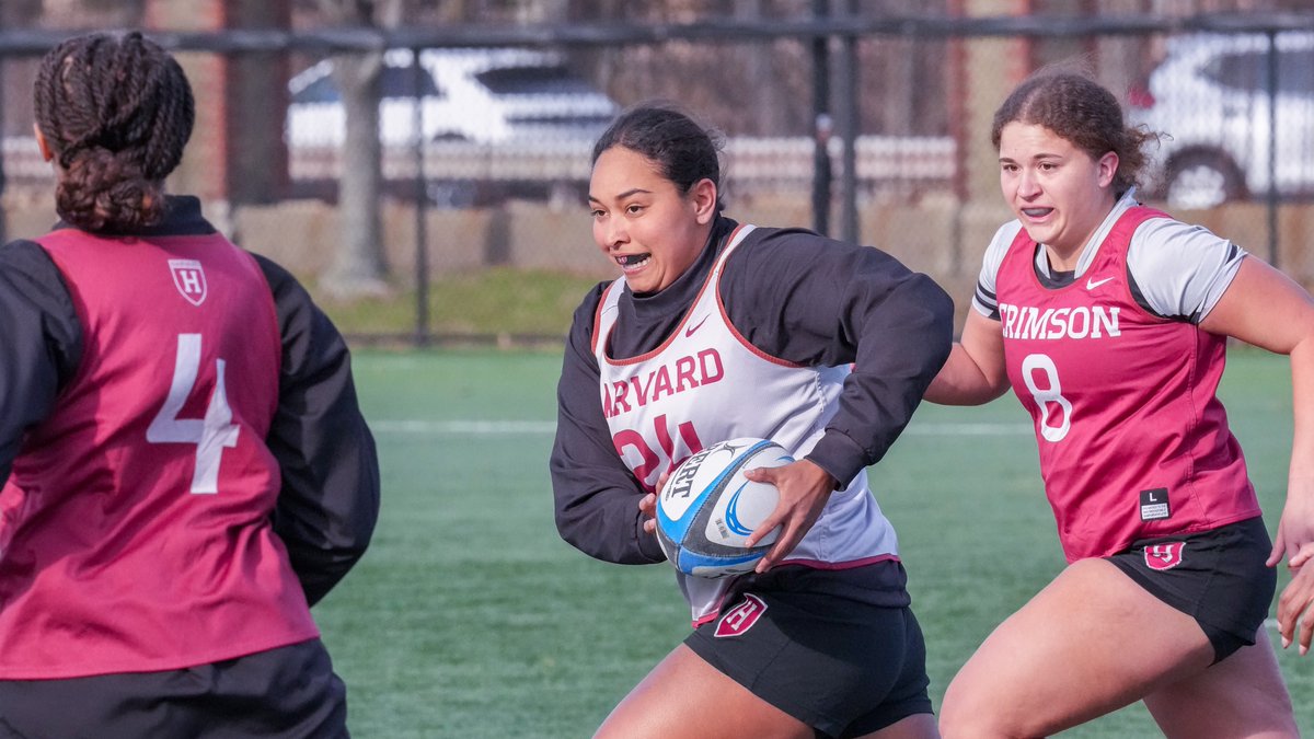 HarvardWRugby tweet media