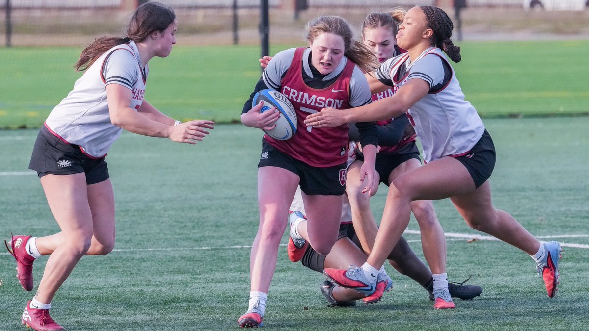 HarvardWRugby tweet media