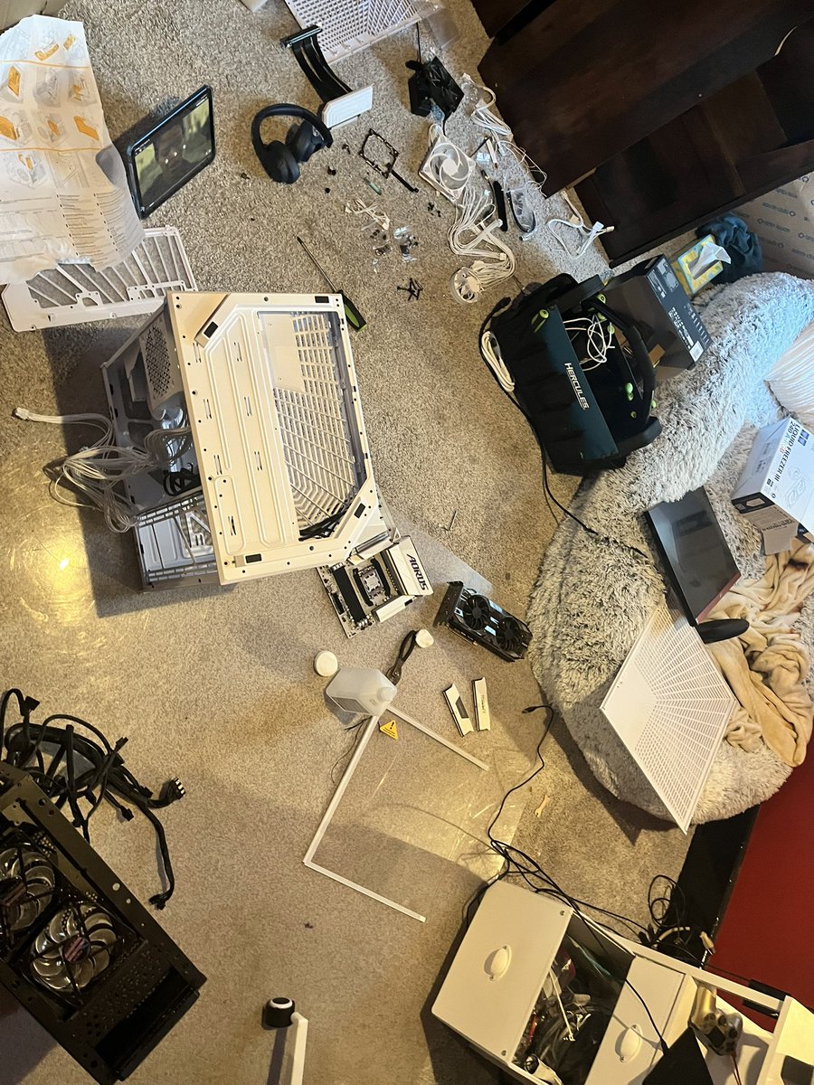 Adfree.EXE 👾⚠️【SVA】 tweet media