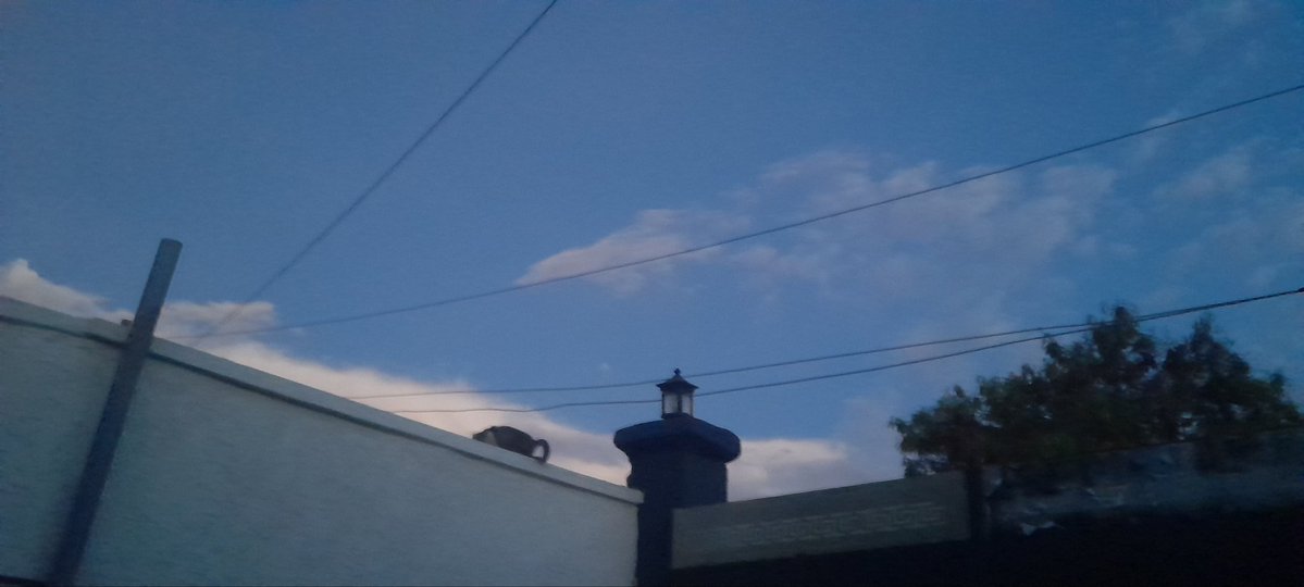 Kadir Mustafa tweet media