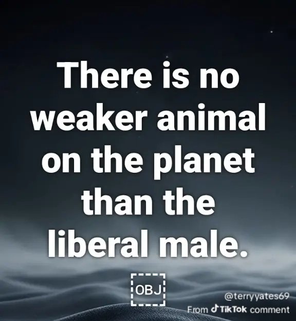 scooturd tweet media