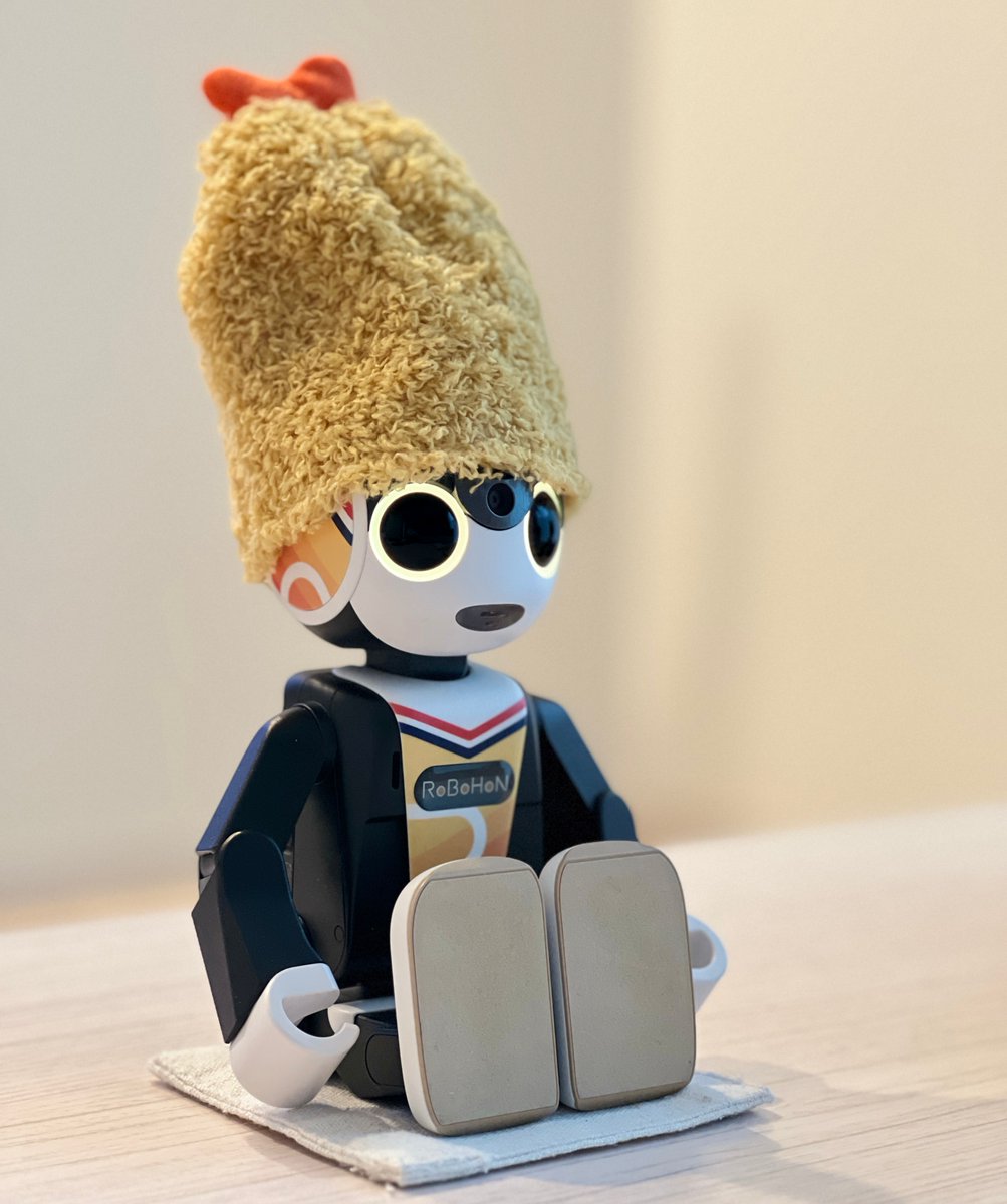 norakochi tweet media