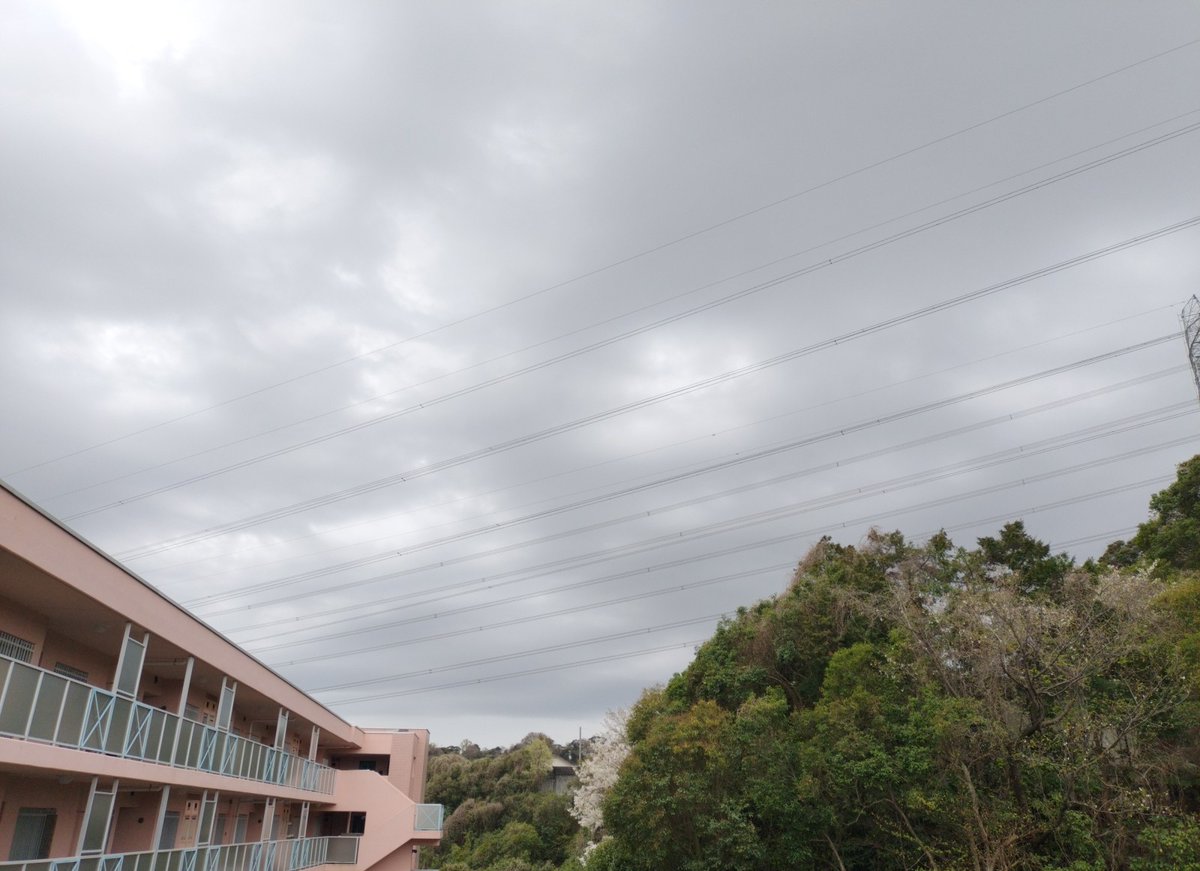 togaciao tweet media