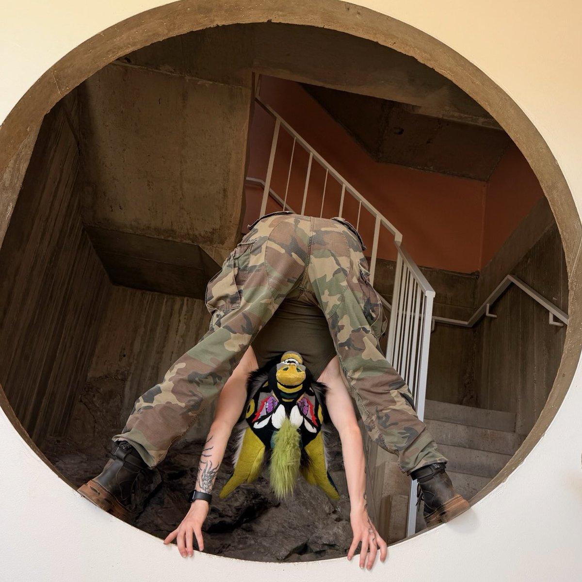 Swamp Dawg @LVFC tweet media