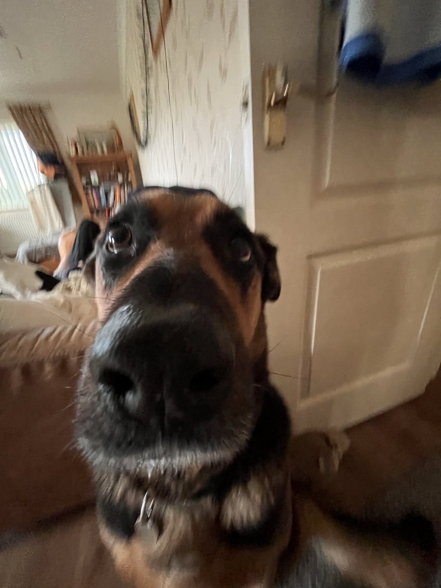 Angie || shedtwt || 𐔌՞. .՞𐦯 tweet media