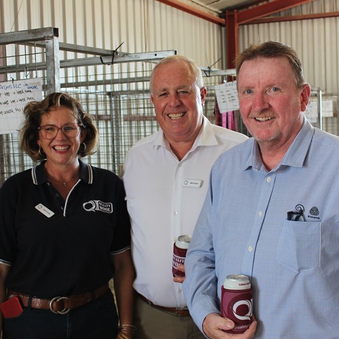 Quality Wool tweet media