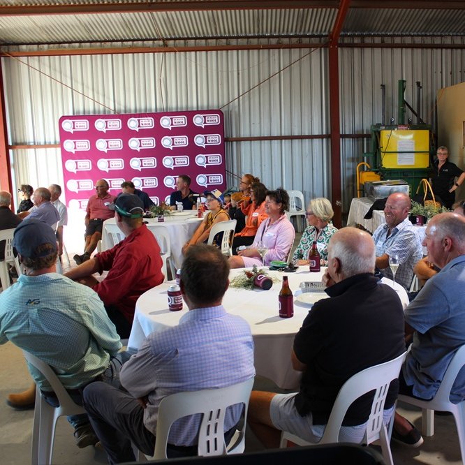 Quality Wool tweet media