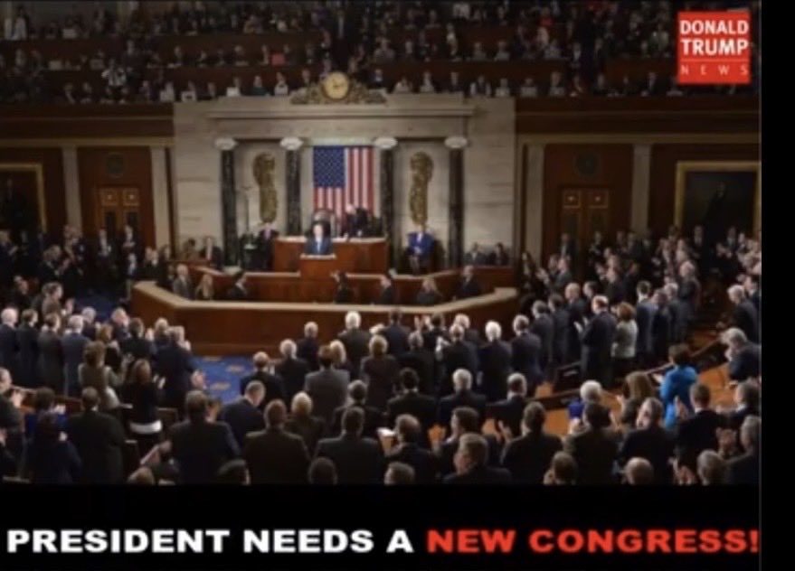 Donna Urban tweet media