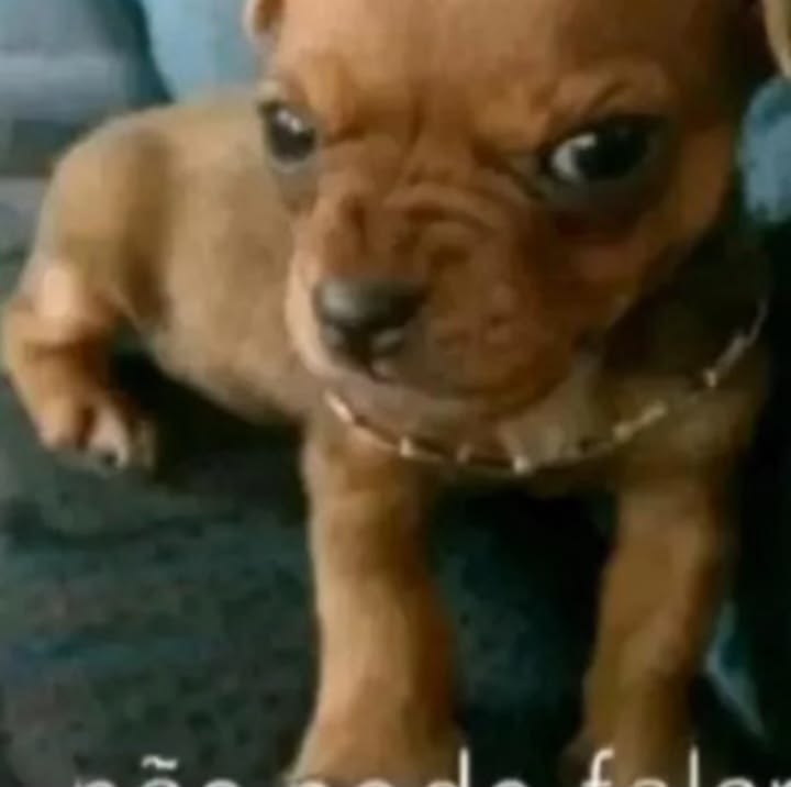 a tal da malu 🦃 tweet media