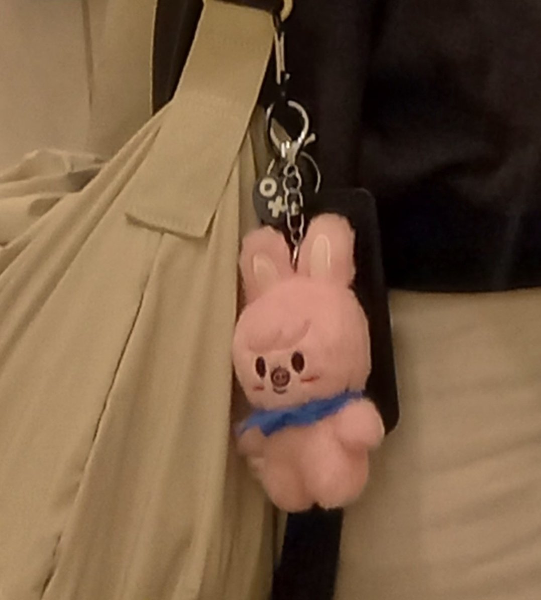 Lio 🪷🍀 tweet media