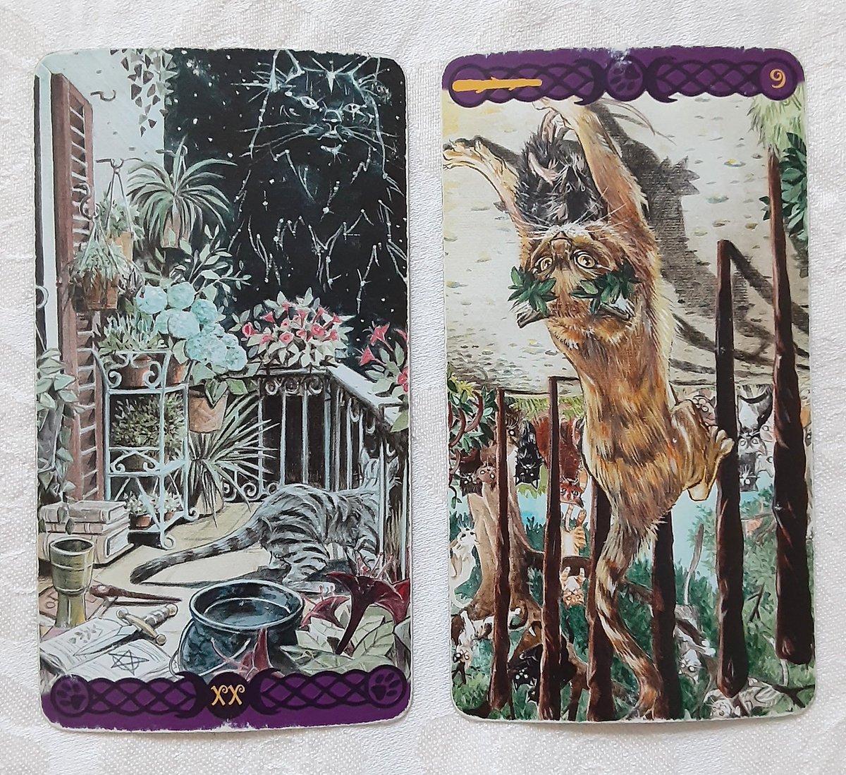 こうりん　笑顔にしたい占い師🌸 tweet media