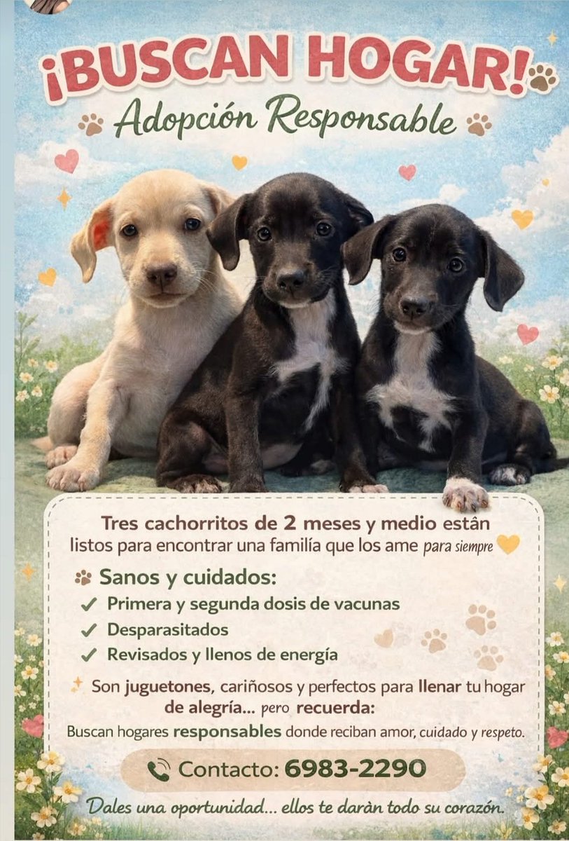 hilda mariana manso broce tweet media