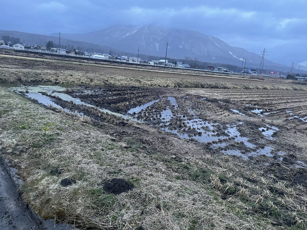 めぐめぐ tweet media