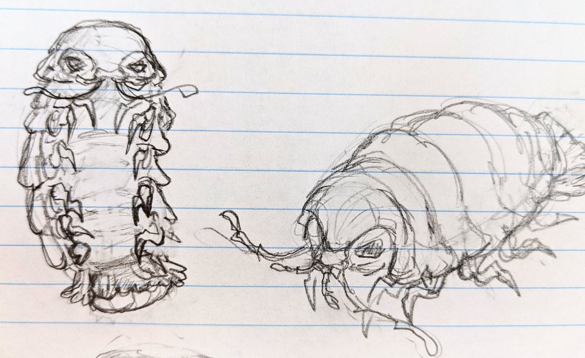 🌧️🐛io tweet media