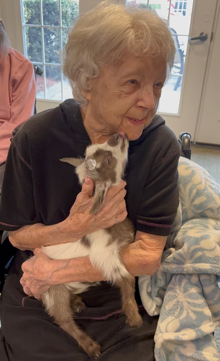 BrookdaleLiving tweet media