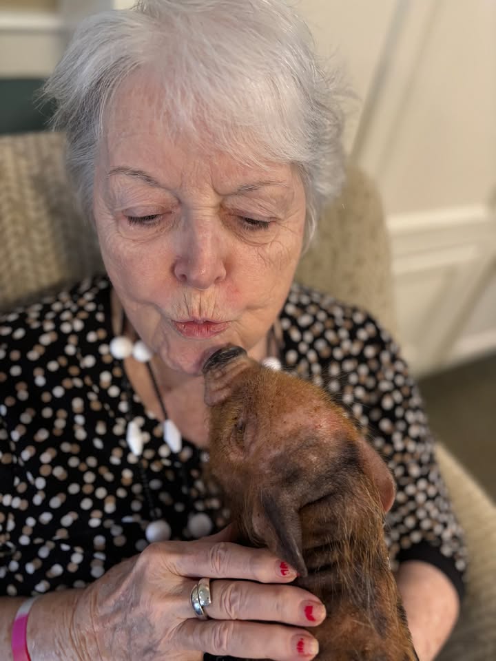 BrookdaleLiving tweet media