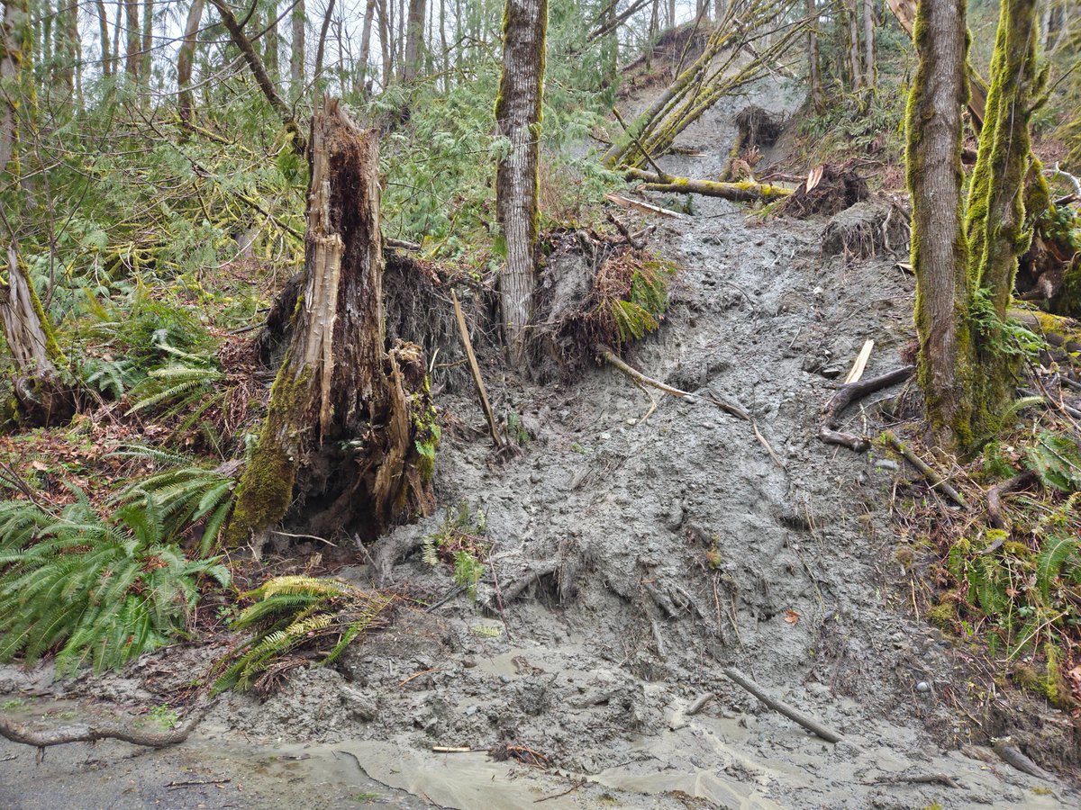 Snohomish County Public Works tweet media