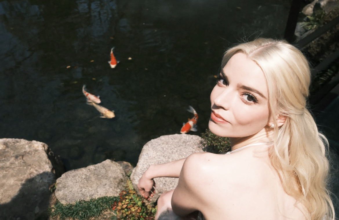 Film Updates tweet media