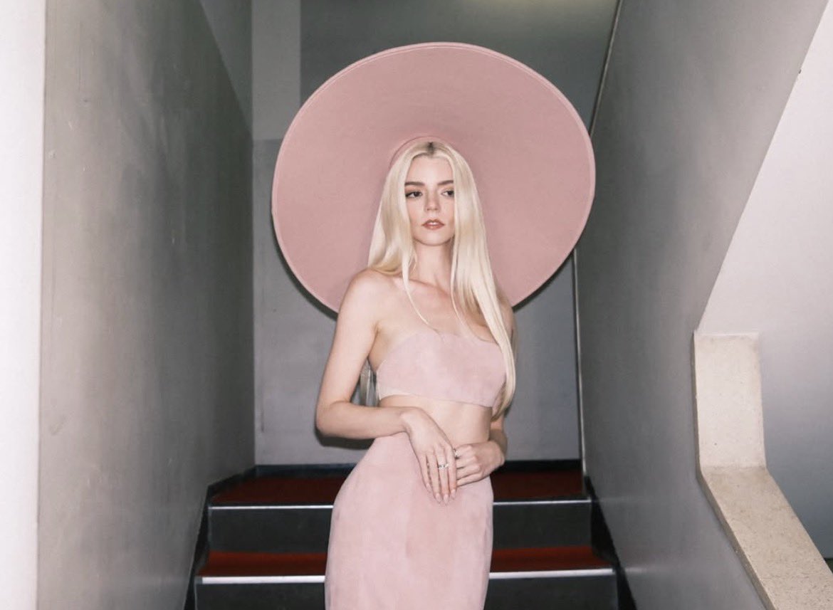 Film Updates tweet media