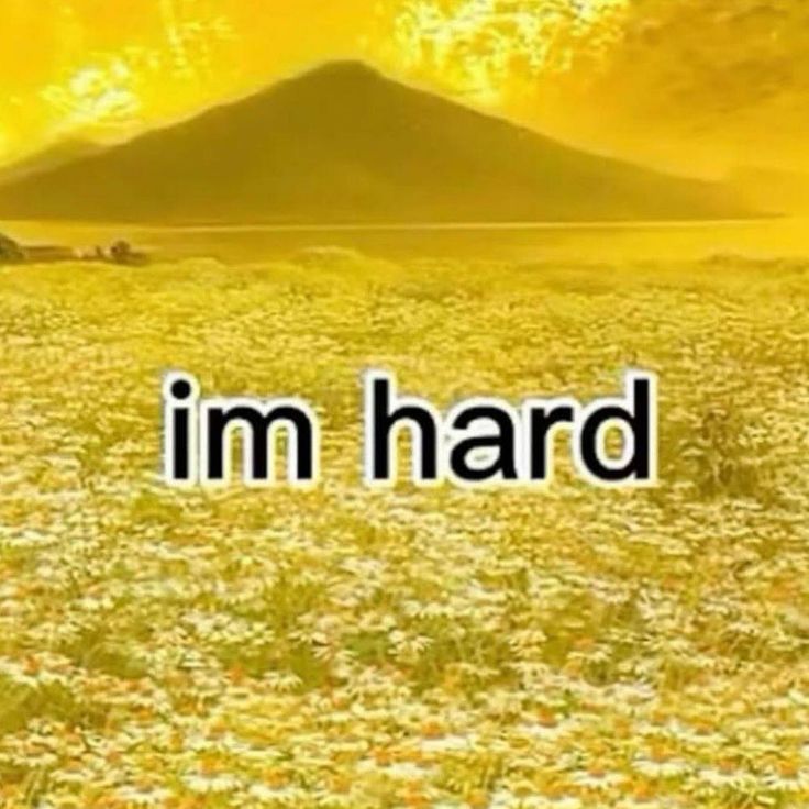 juls⋆˚ tweet media