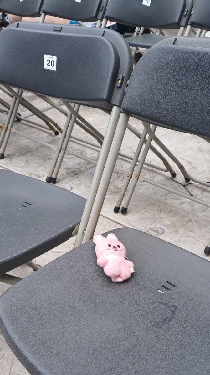 Lio 🪷🍀 tweet media