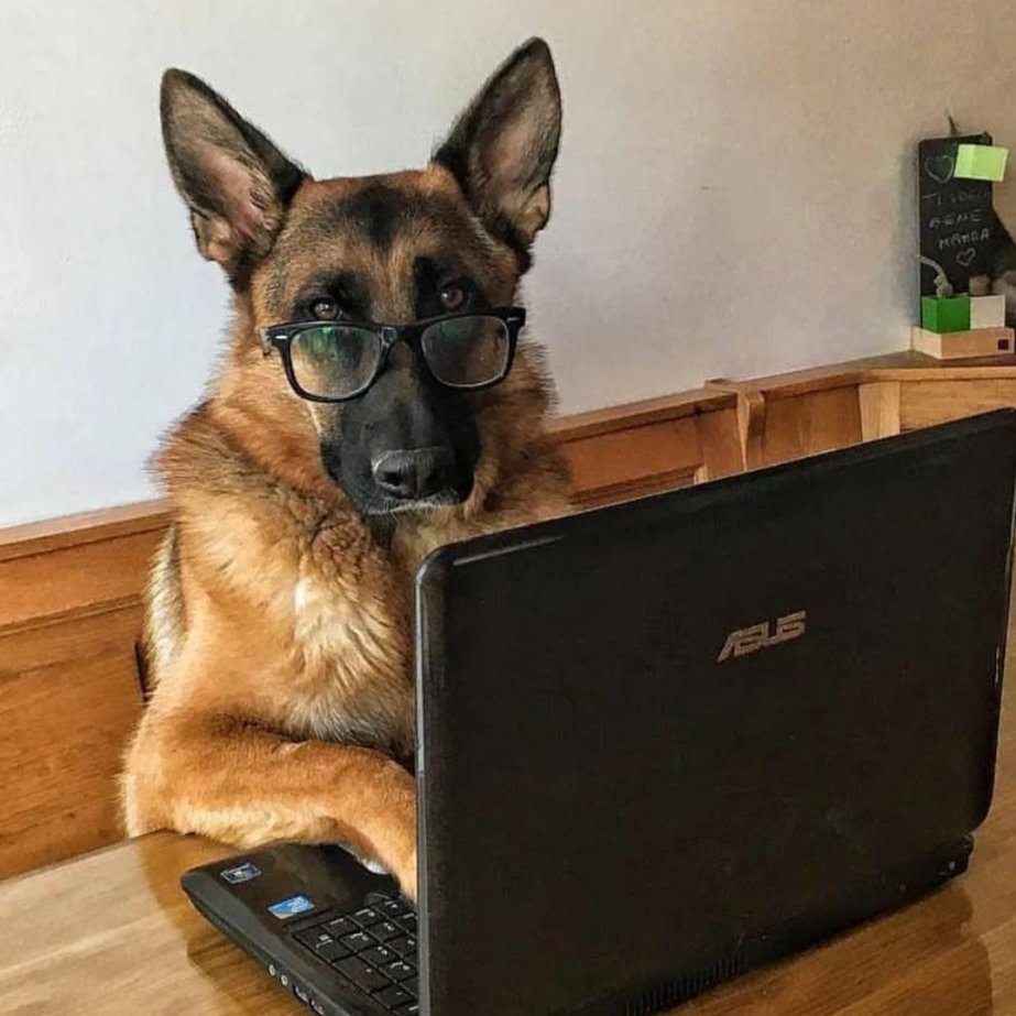 agender armand scholar🏺⚧ ཋྀ tweet media