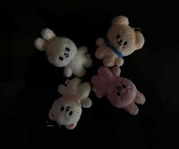 Lio 🪷🍀 tweet media