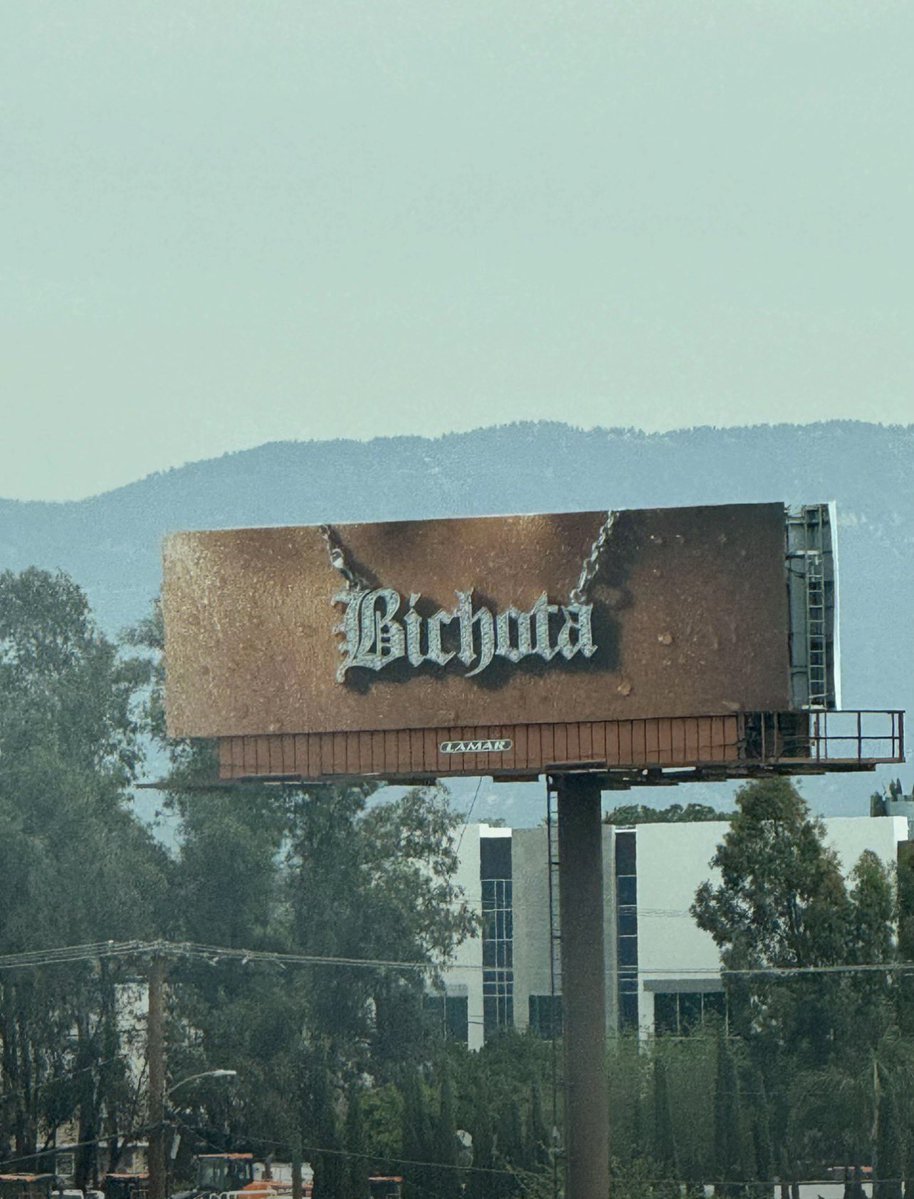 Yulieth Arboleda 🧡🪡 tweet media