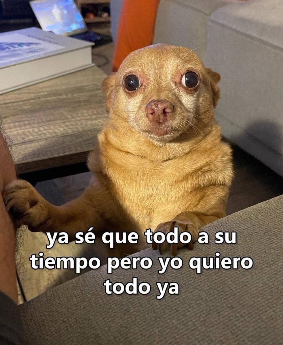 Salvador Iglesias Jr (@javisness) on Twitter photo 