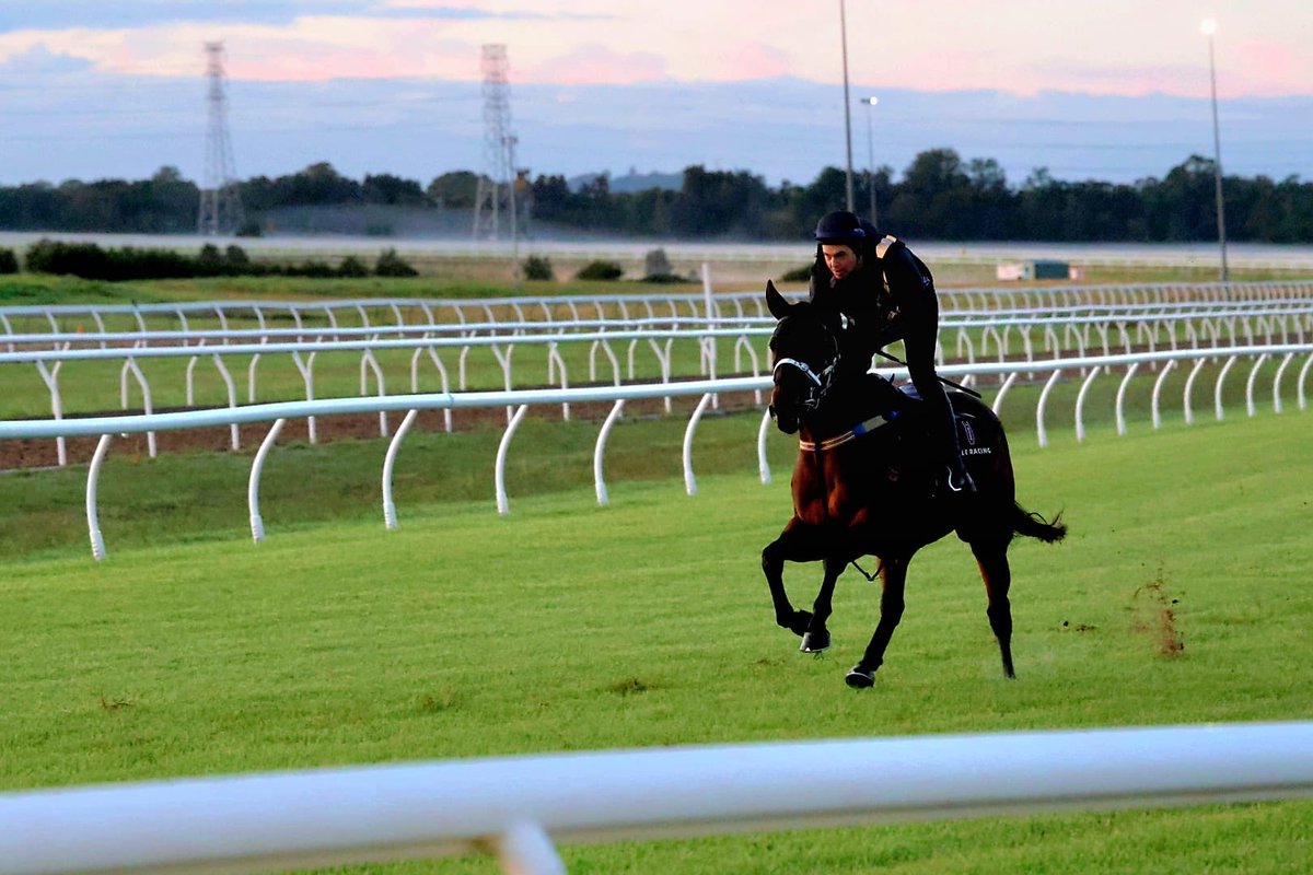 Ible Racing tweet media